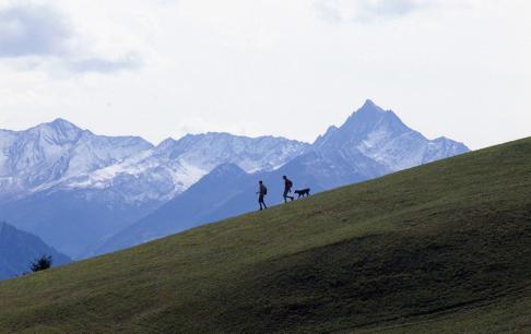 טיול בין ההרים השווייצרים