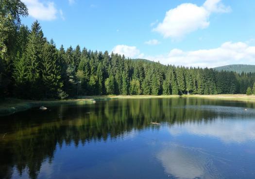 אגם שלוכזי (Shluchzi lake), בטיול ליער השחור