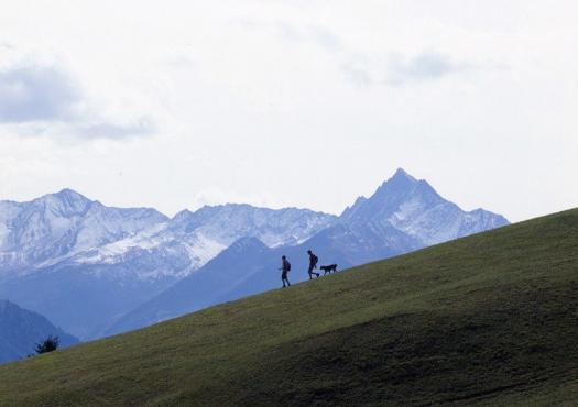 הליכה במסלול בין ההרים השוויצרים