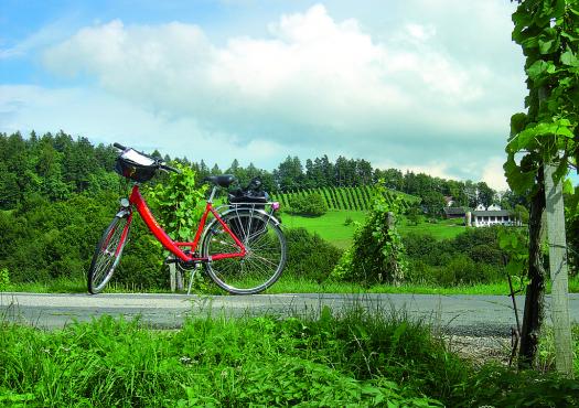 אופניים על נוף ירוק